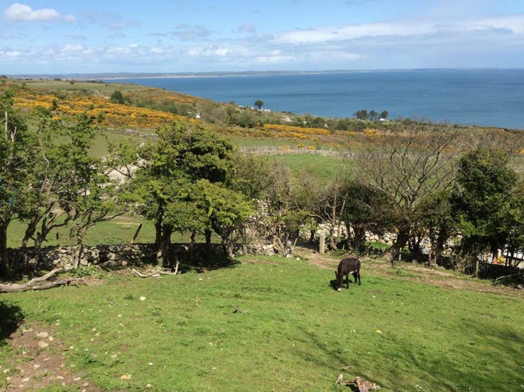 Stunning Views At Ballagh Cottage Newcastle Newcastle  Zewnętrze zdjęcie